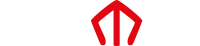 light logo